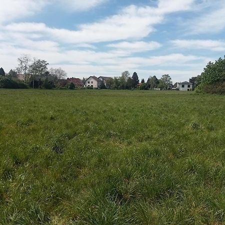 Stadtgruen 2 Берлин Екстериор снимка