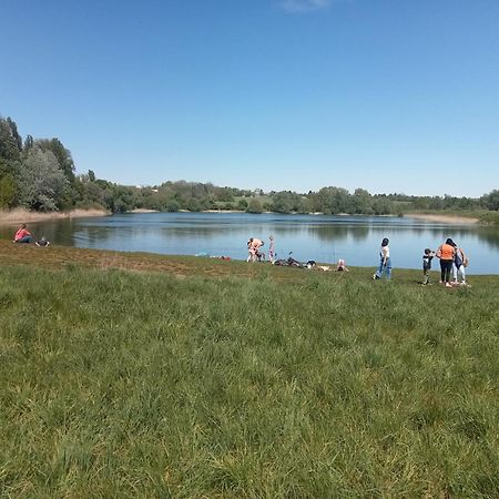 Stadtgruen 2 Берлин Екстериор снимка