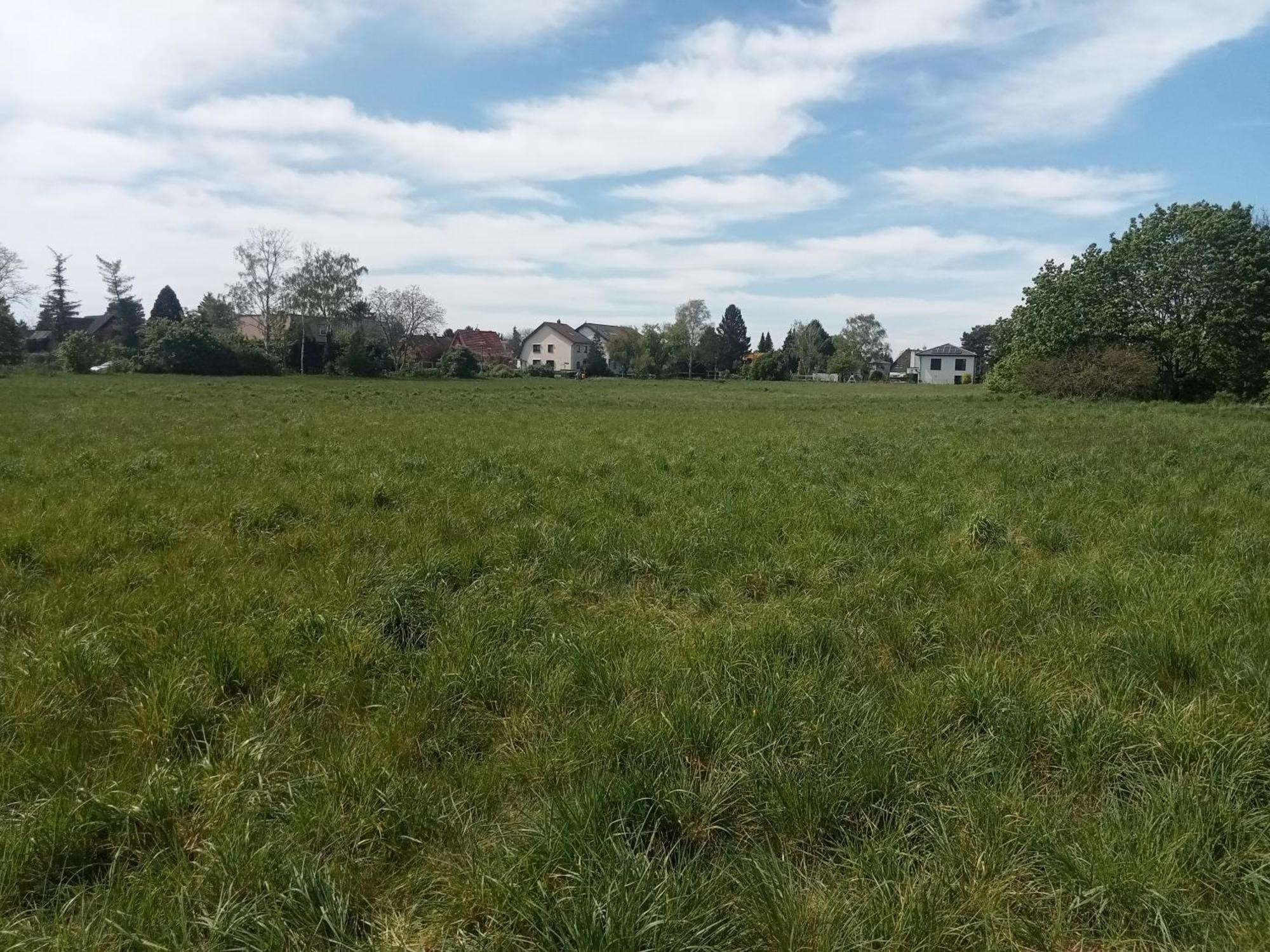 Stadtgruen 2 Берлин Екстериор снимка
